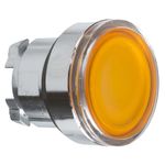 PV00016586