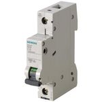 PV00020933